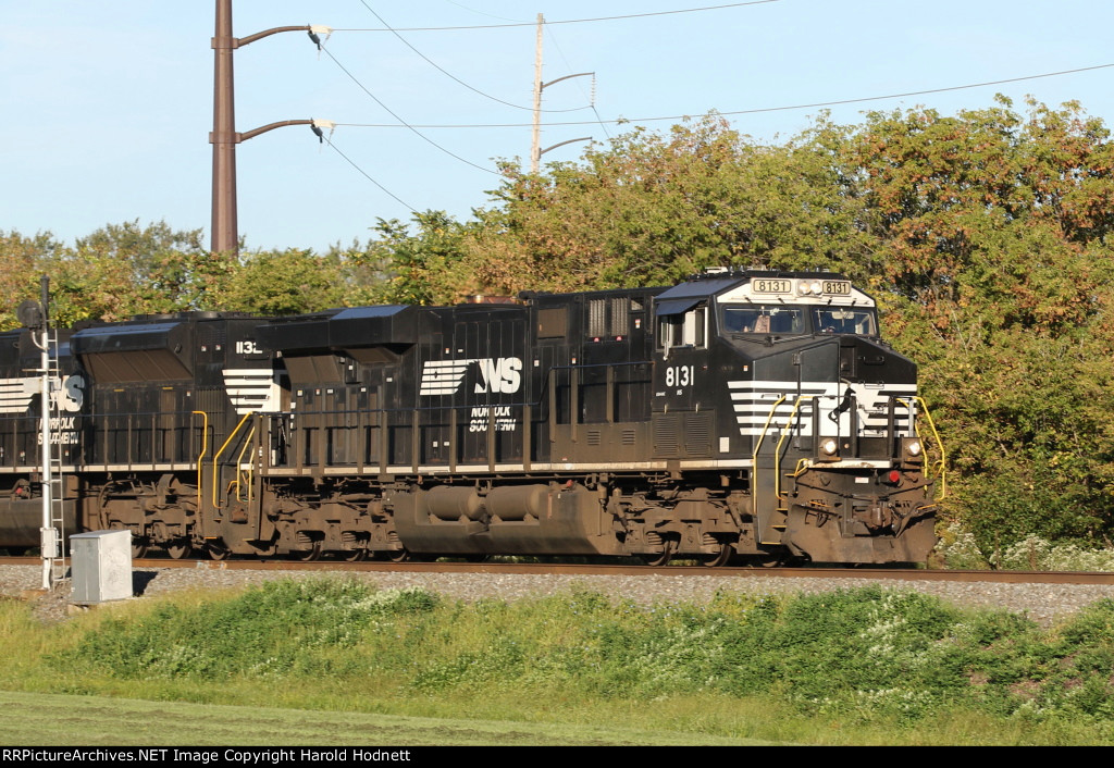 NS 8131